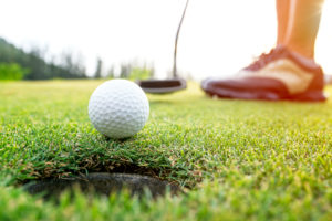 silicon in turfgrass