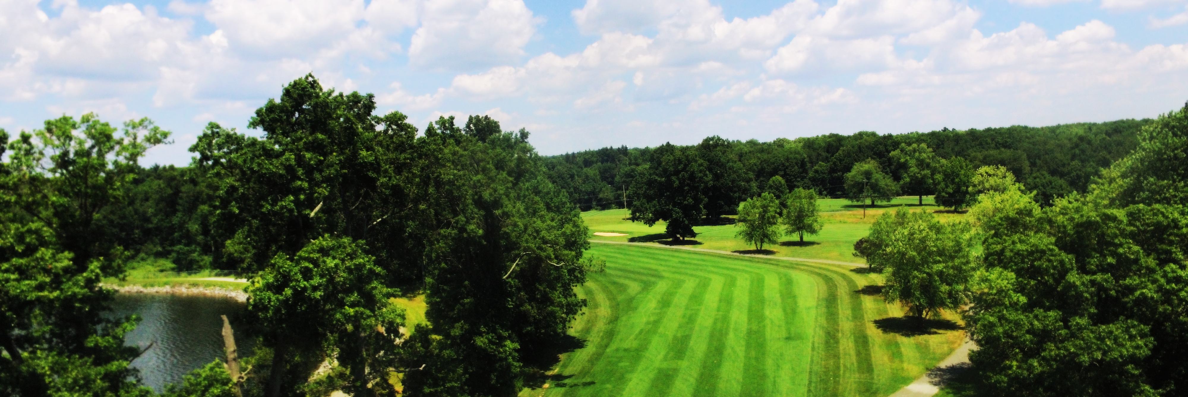 We Build Resilient Turf